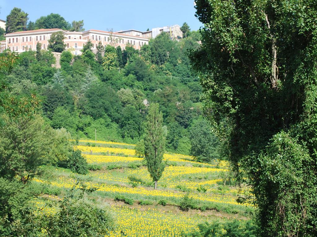 B&B Villa Paradiso Urbino Exterior photo